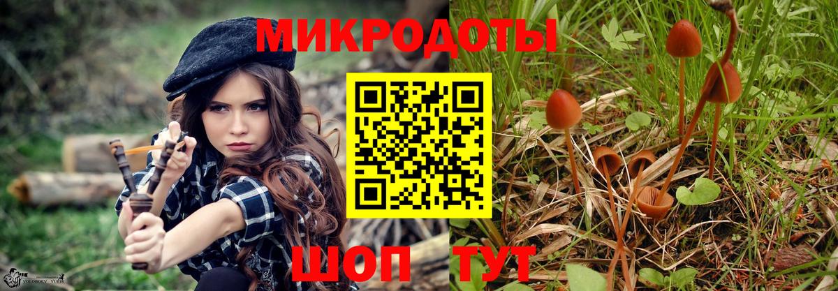 Гагарин  Галлюциногенные грибы Psilocybine cubensis  Вход с VPN 